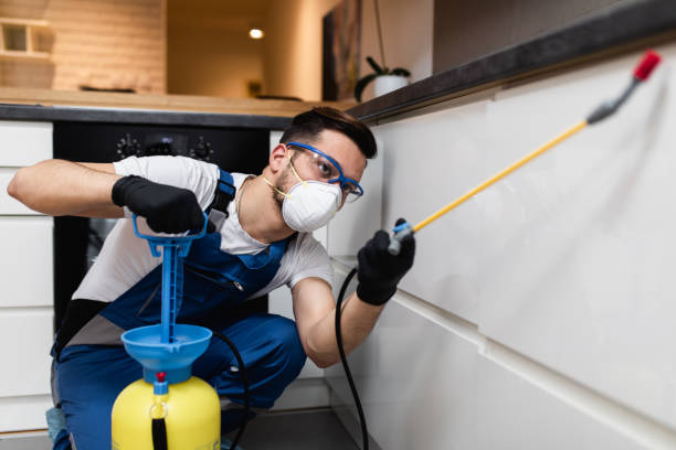 Pest Prevention Services in Spring City, TN