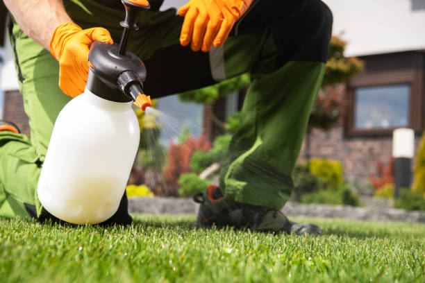 Best Emergency Pest Control  in Spring City, TN