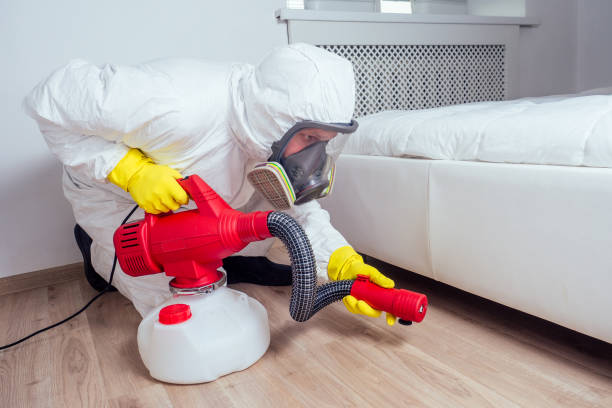 Best Bed Bug Extermination  in Spring City, TN