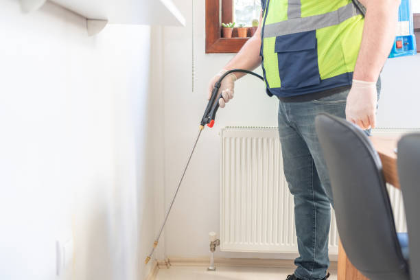 Best Local Pest Control Services  in Spring City, TN